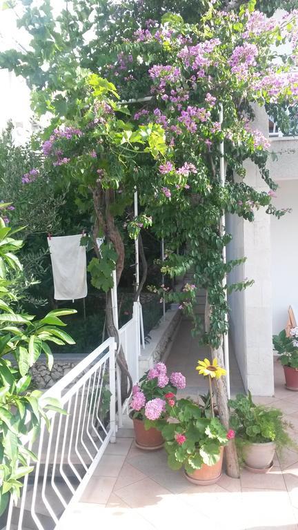 Apartments Dragan Трогир Екстериор снимка